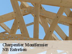 Charpentier montfermier-82270 Concept Toiture 82