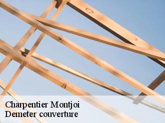 Charpentier  montjoi-82400 Demeter couverture