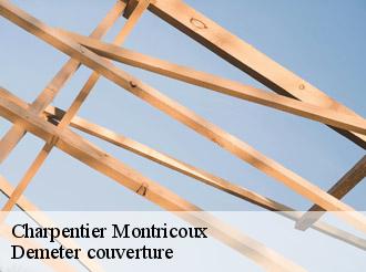 Charpentier montricoux-82800 Demeter couverture