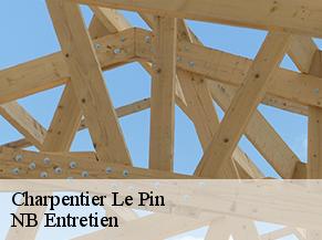 Charpentier le-pin-82340 NB Entretien
