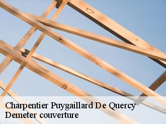 Charpentier puygaillard-de-quercy-82800 Demeter couverture