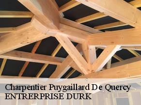 Charpentier  puygaillard-de-quercy-82800 ENTRERPRISE DURK