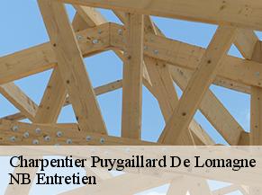 Charpentier puygaillard-de-lomagne-82120 Concept Toiture 82