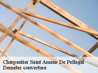 Charpentier  saint-amans-de-pellagal-82110 Demeter couverture