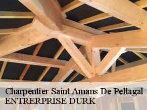 Charpentier  saint-amans-de-pellagal-82110 ENTRERPRISE DURK