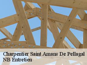 Charpentier saint-amans-de-pellagal-82110 NB Entretien