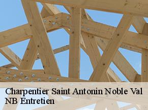 Charpentier saint-antonin-noble-val-82140 NB Entretien
