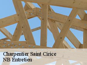 Charpentier saint-cirice-82340 Concept Toiture 82