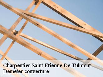 Charpentier saint-etienne-de-tulmont-82410 Demeter couverture