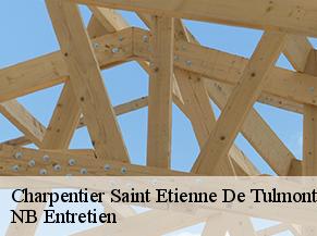 Charpentier saint-etienne-de-tulmont-82410 NB Entretien
