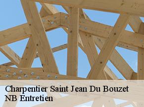 Charpentier saint-jean-du-bouzet-82120 NB Entretien