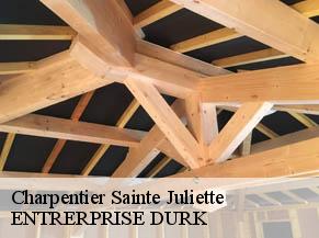 Charpentier  sainte-juliette-82110 ENTRERPRISE DURK