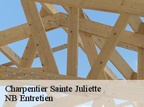 Charpentier sainte-juliette-82110 NB Entretien