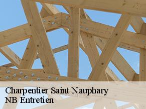 Charpentier saint-nauphary-82370 NB Entretien