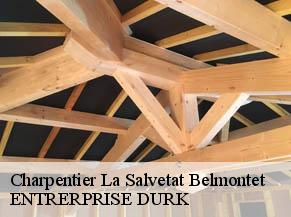 Charpentier la-salvetat-belmontet-82230 ENTRERPRISE DURK