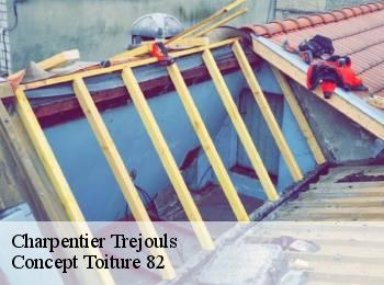 Charpentier trejouls-82110 Concept Toiture 82