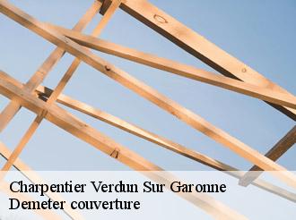 Charpentier  verdun-sur-garonne-82600 Demeter couverture