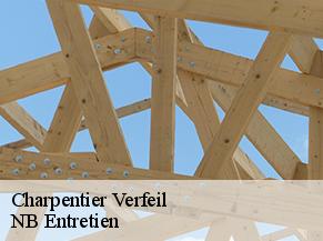 Charpentier  verfeil-82330 NB Entretien