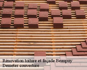 Rénovation toiture et façade  82600