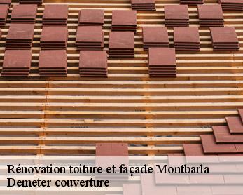 Rénovation toiture et façade 82110