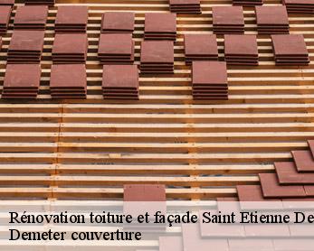 Rénovation toiture et façade 82410